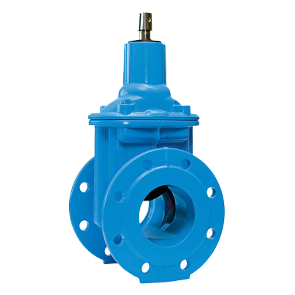 E1 valve with flanges, short